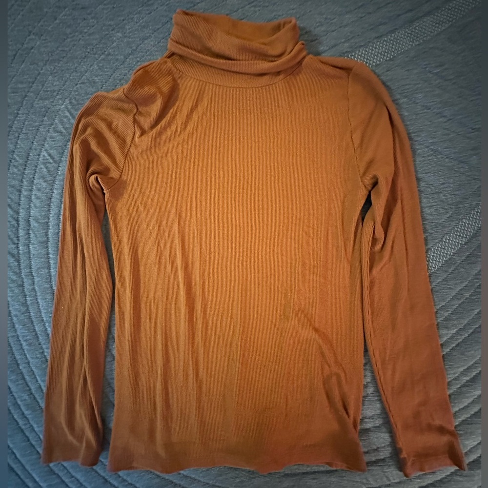 LOFT Rust Turtleneck Ribbed Top
